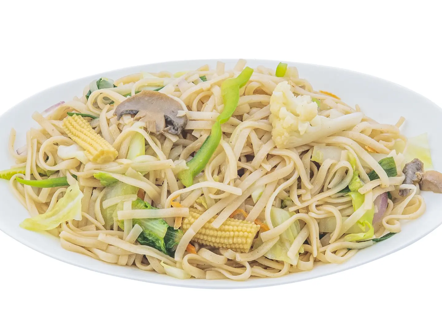 Vegetable Fried Noodles