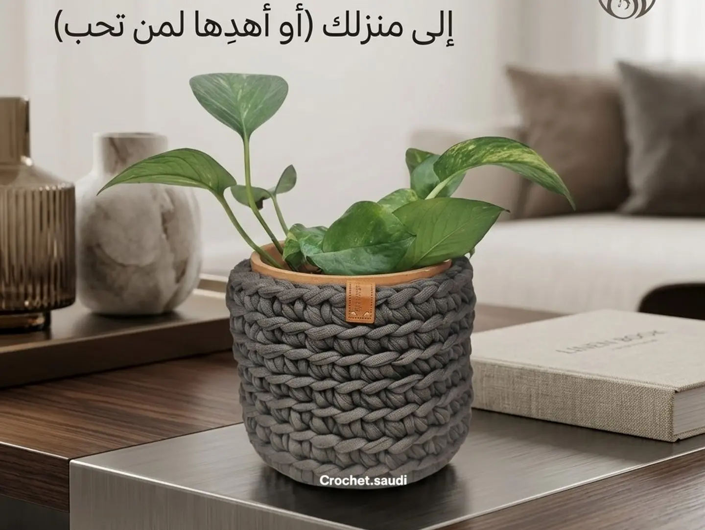 Medium Sized Basket And Plant