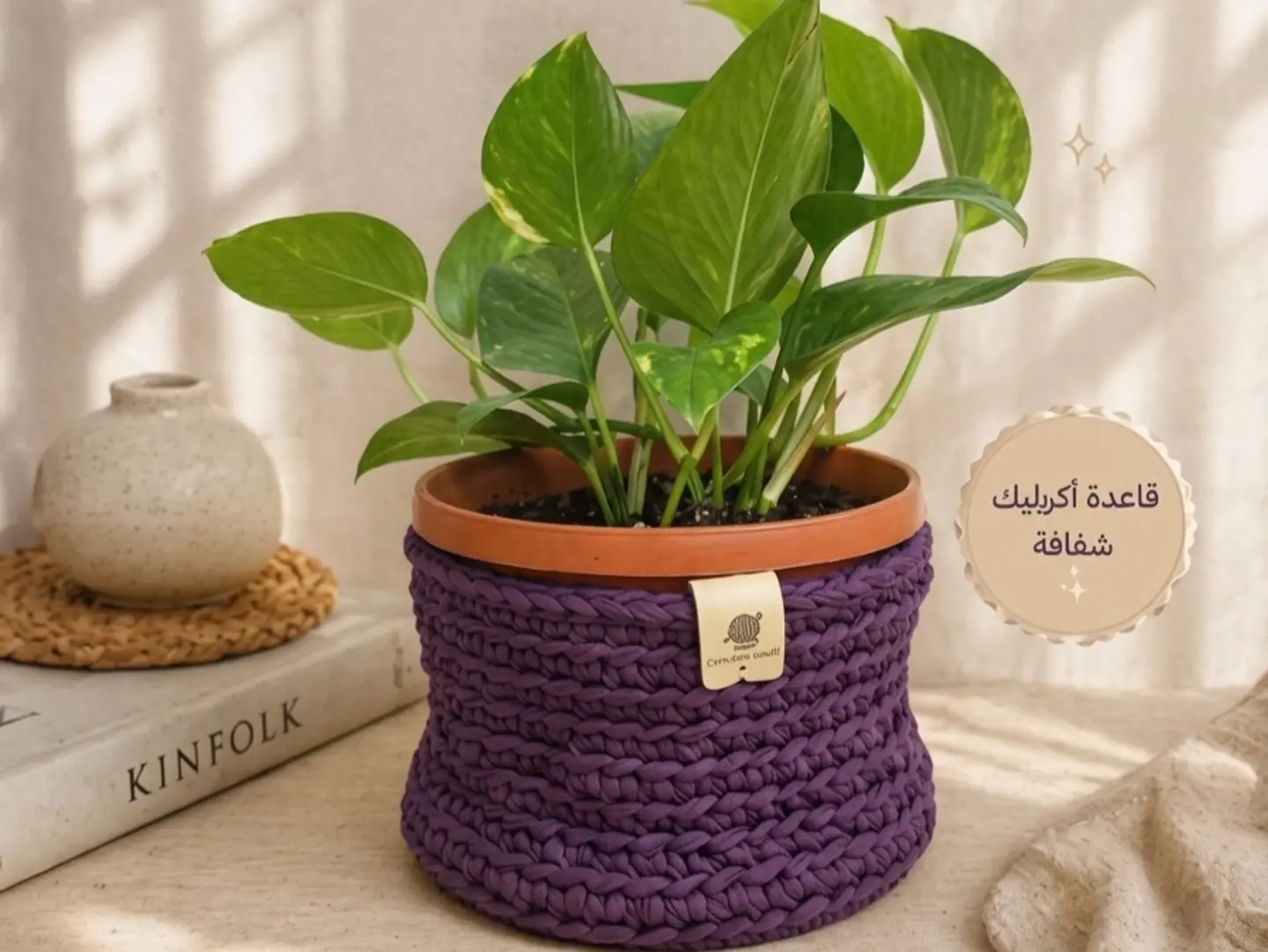 Basket And Plant