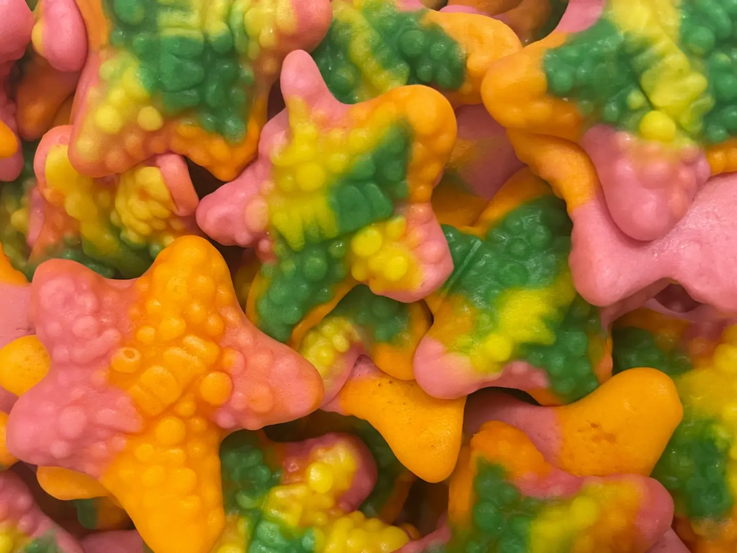 Starfish Jelly - 100g