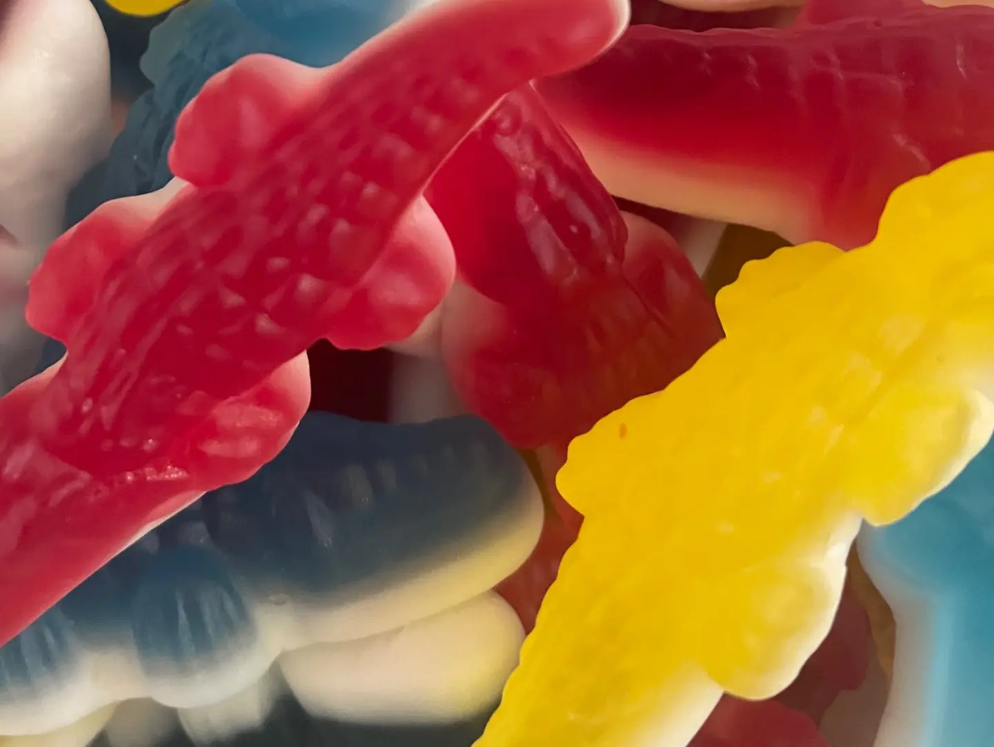 Fruit Flavored Gummy Crocodiles - 100g