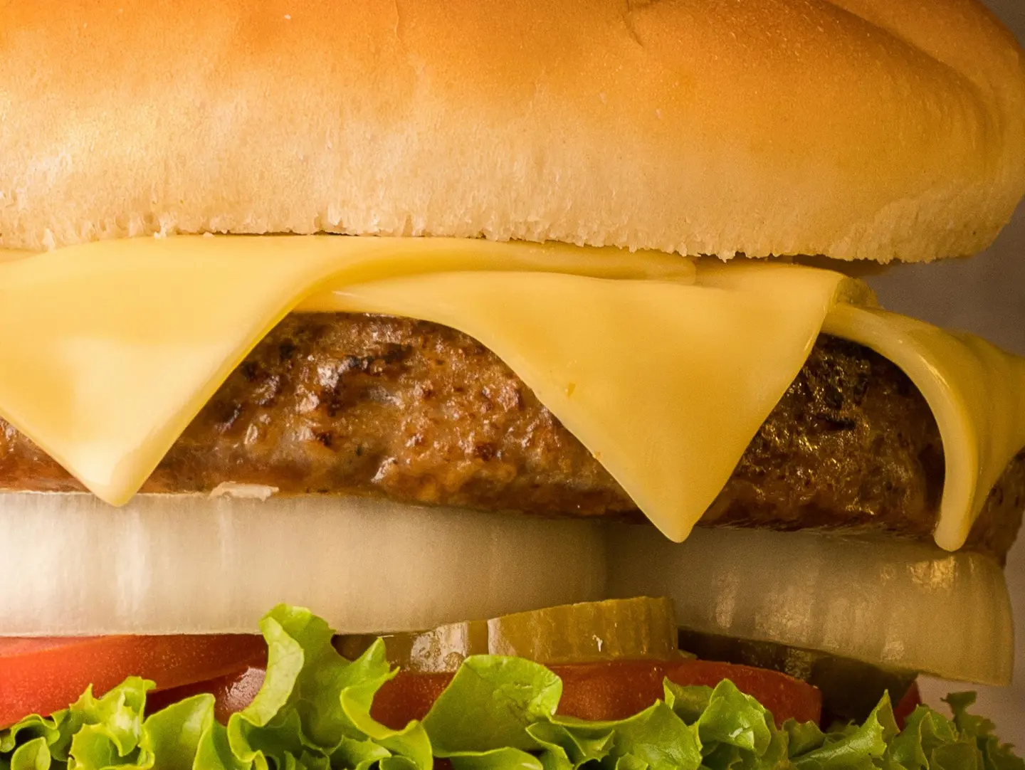 Burger Sandwich