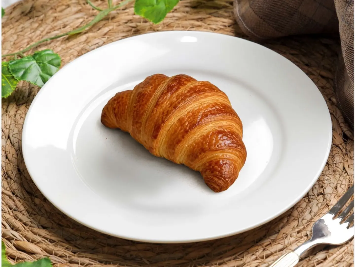 Cheese Croissant