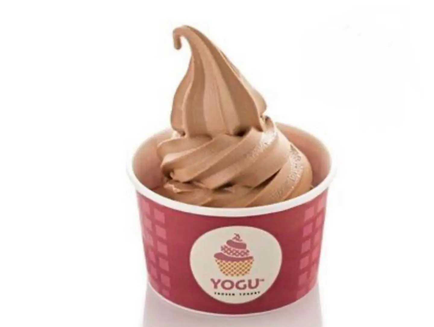 Chocolate Ice Cream - Small