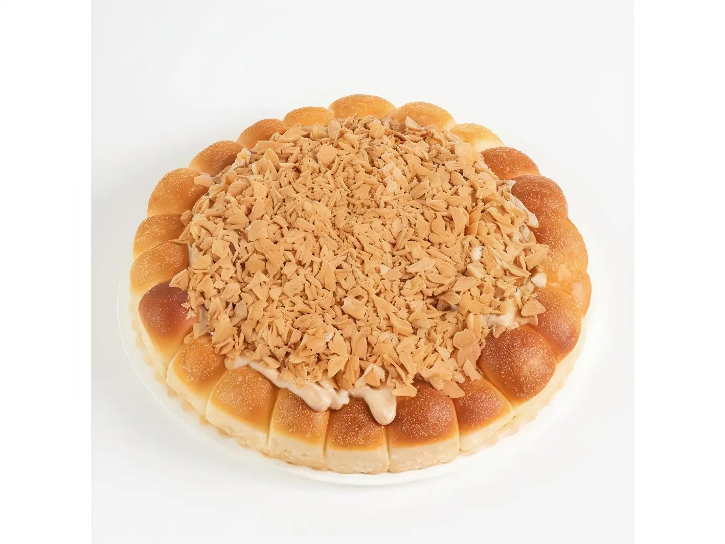 خلية سجنتشر - وسط