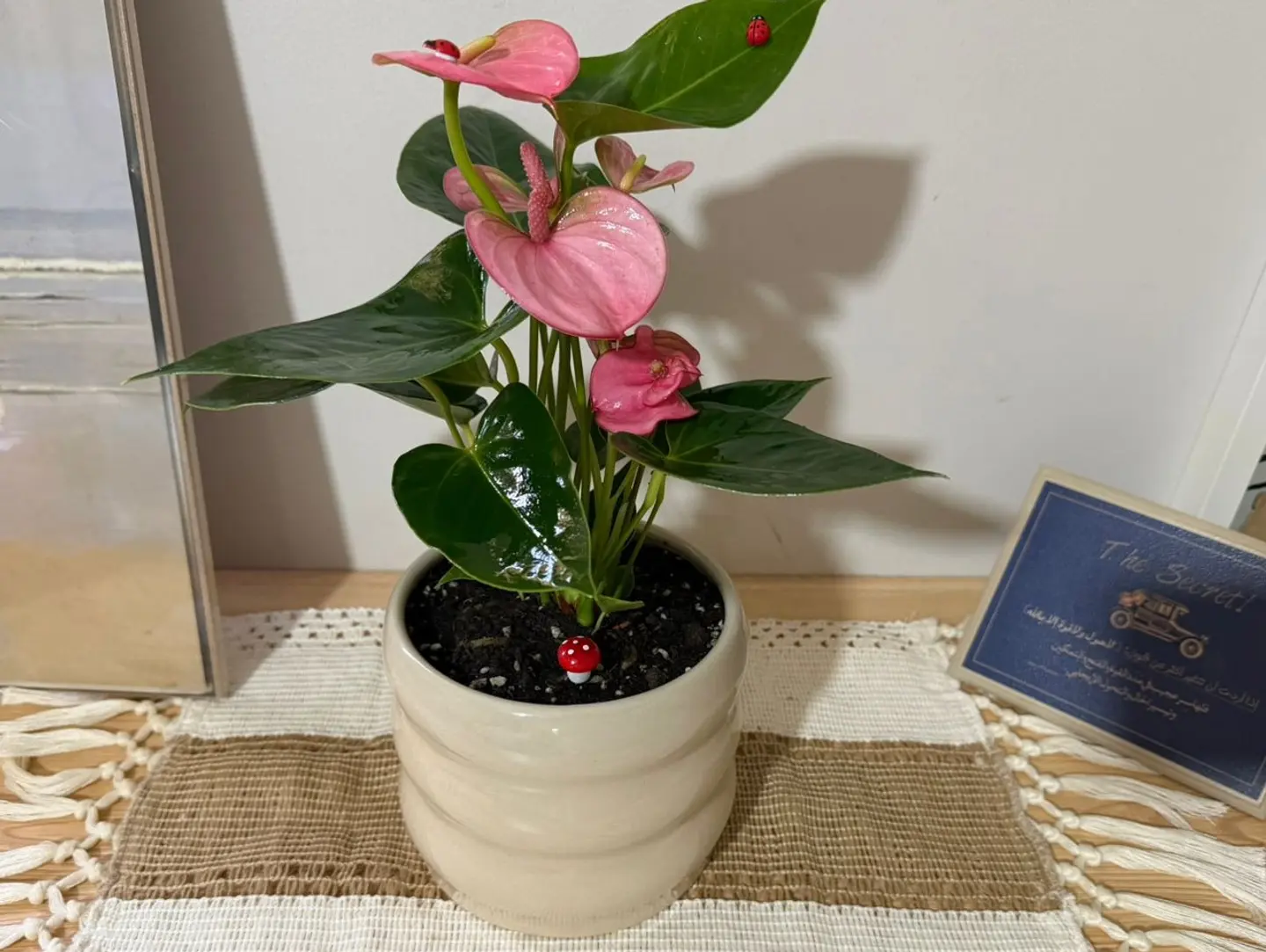 The Gift Of Pink Elegance