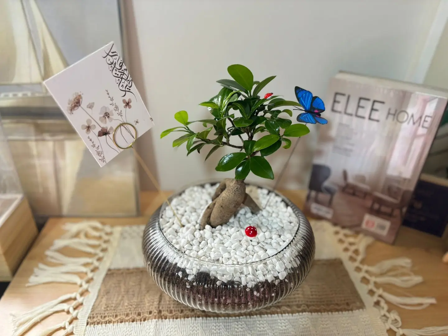 Bonsai Tree