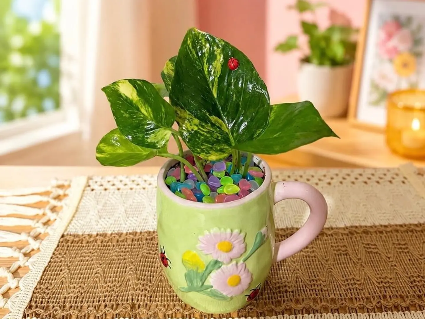 Pottos Plant In A Cup Of Flowers