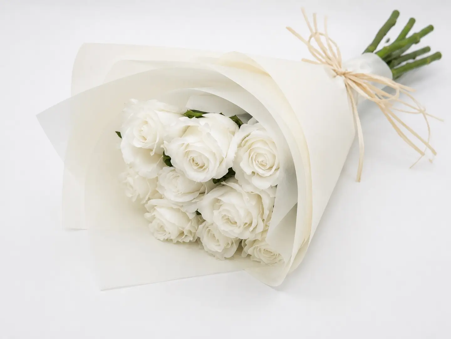 Rose Mondial
