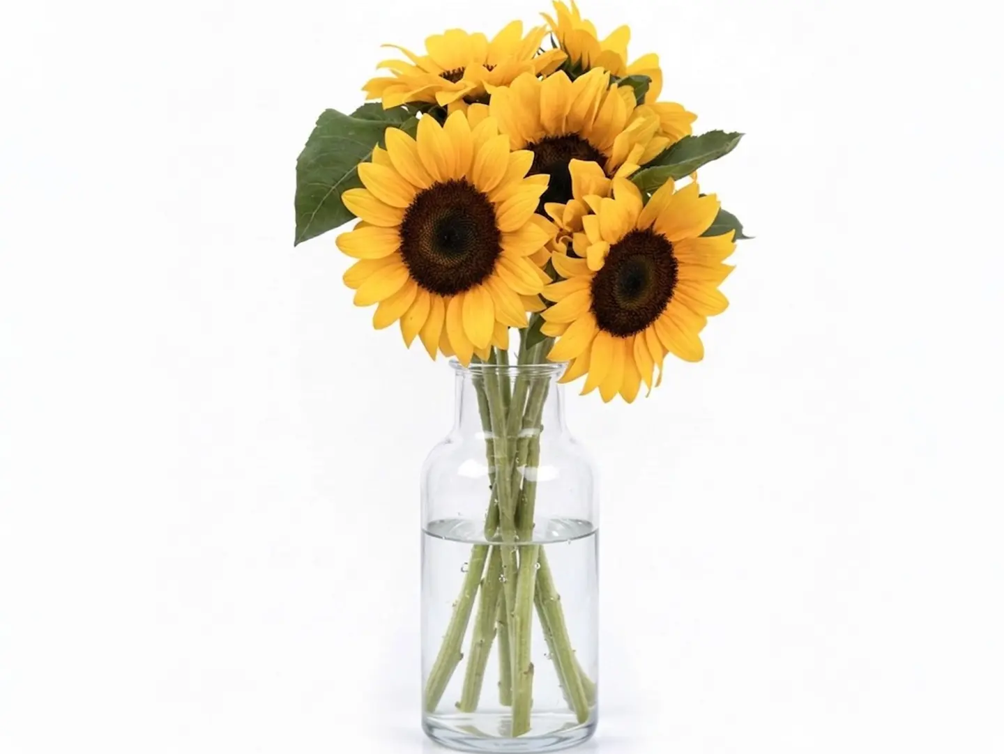 Vase Sunflower Large
