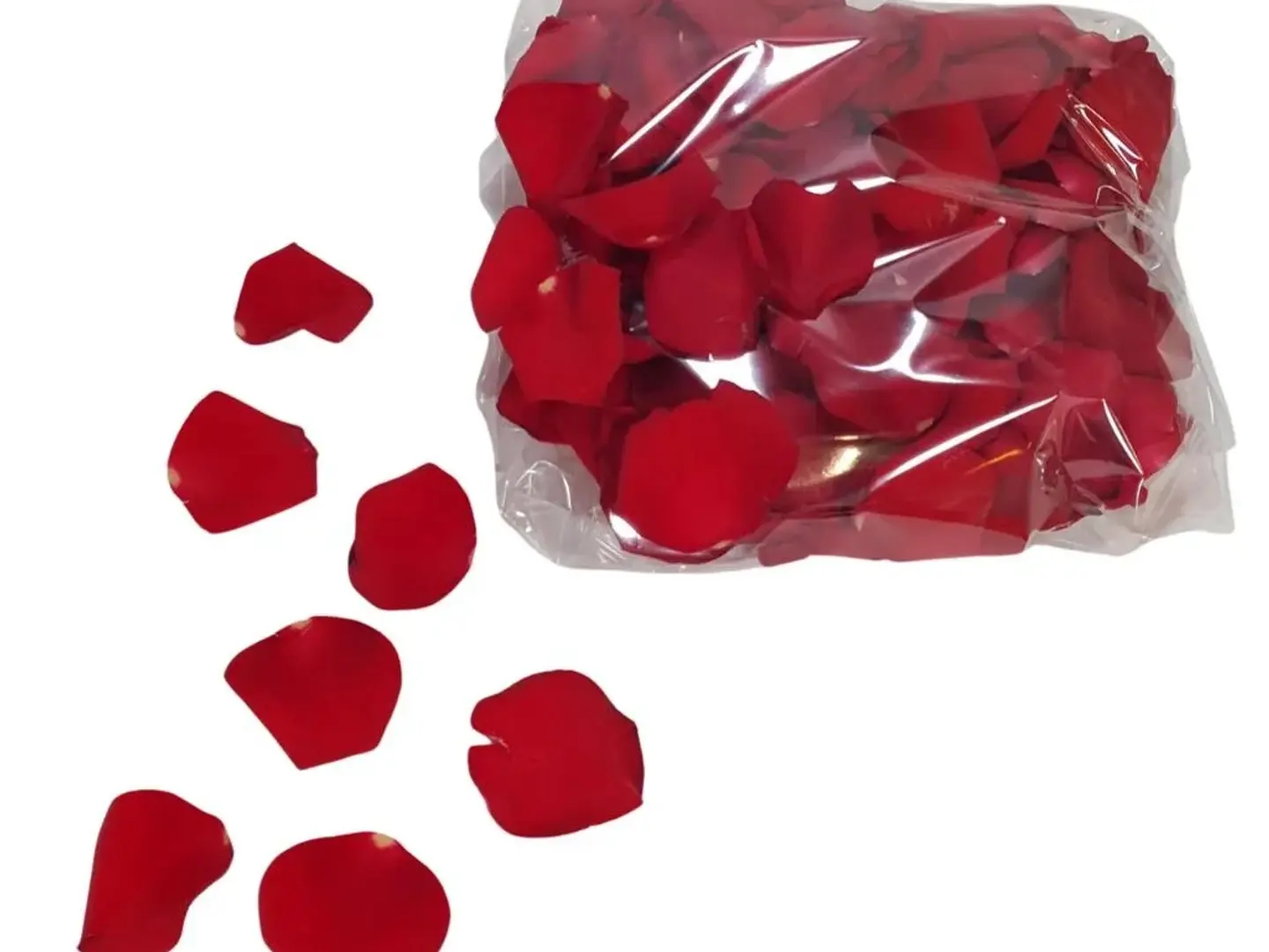Scattered Red Roses
