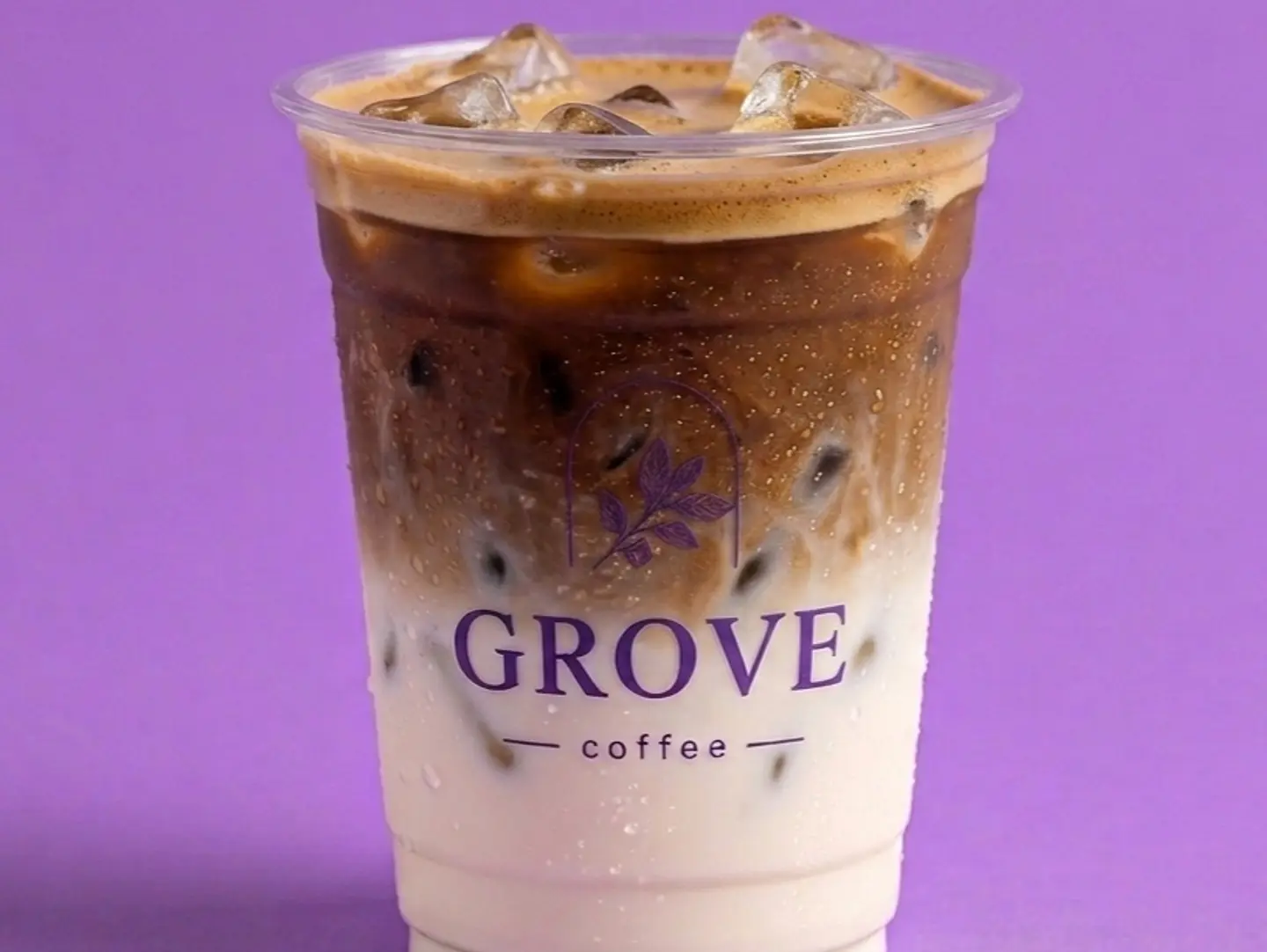 Iced Spanish Latte