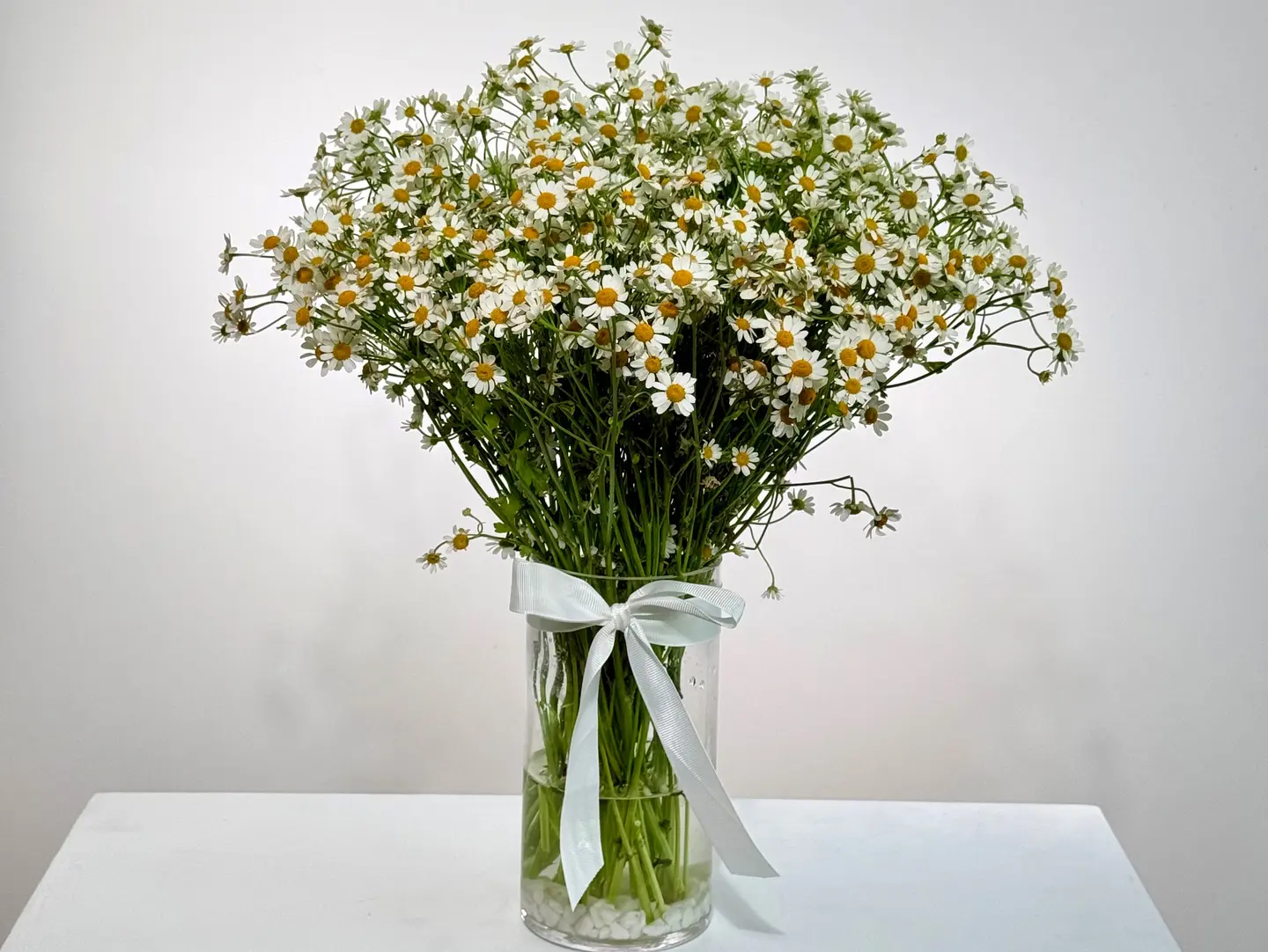 The Delicate Daisy Vase