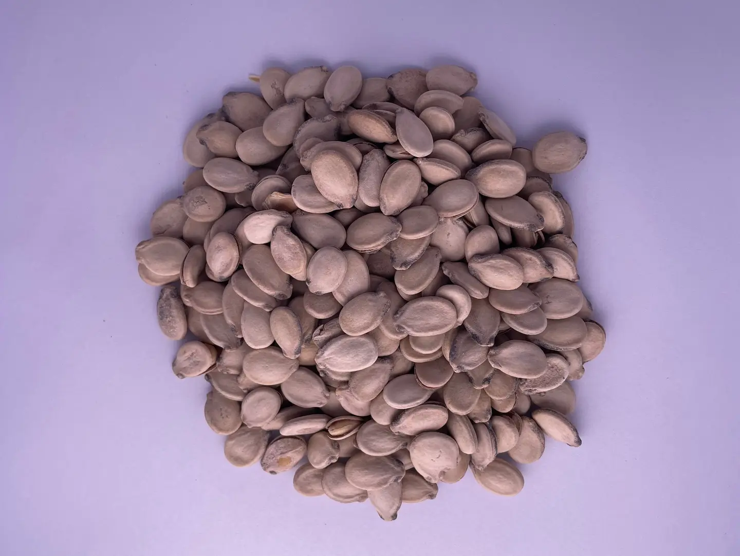 Palestinian Seeds - 500 Grams