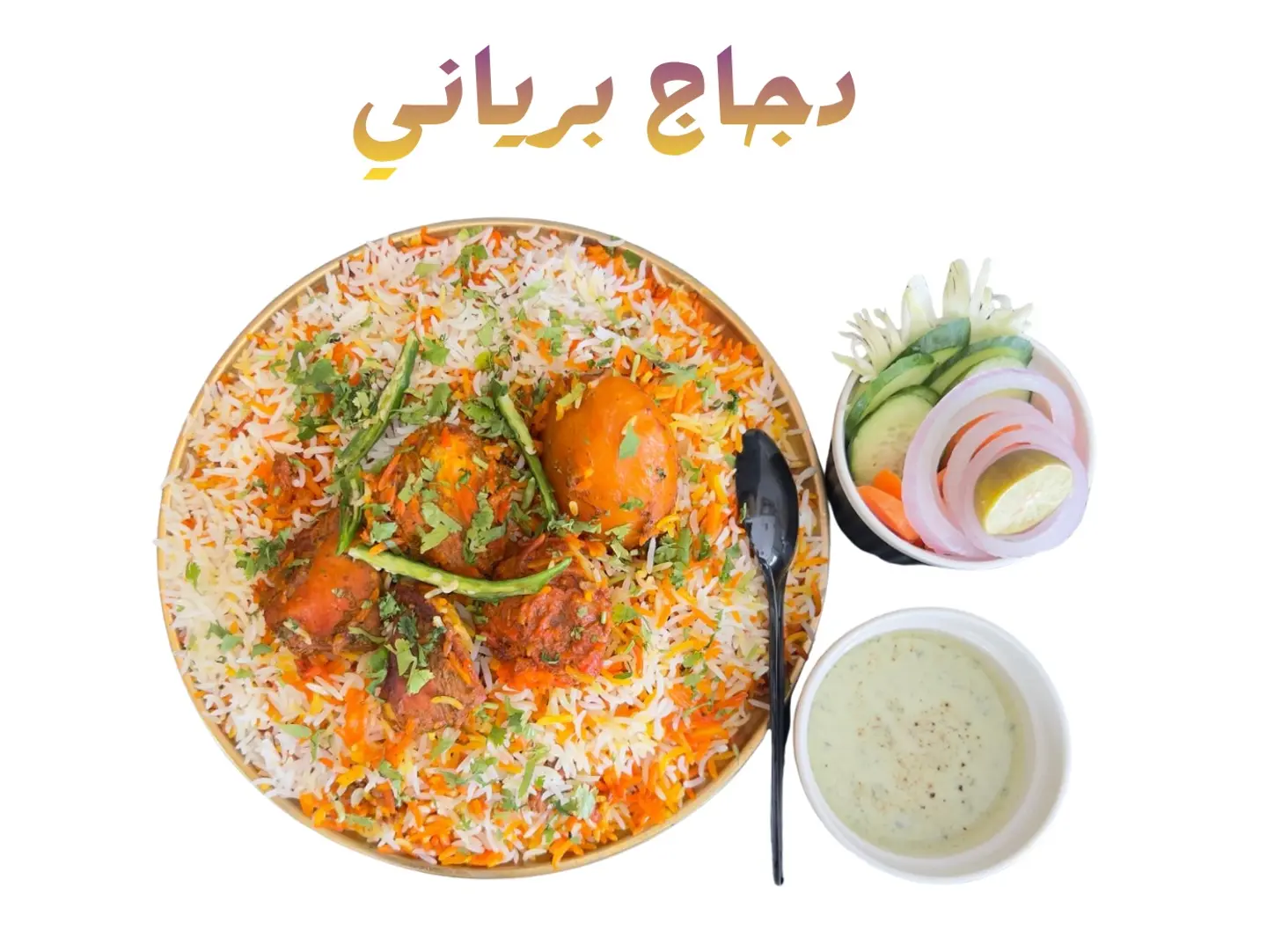 Chicken Biryani - Single