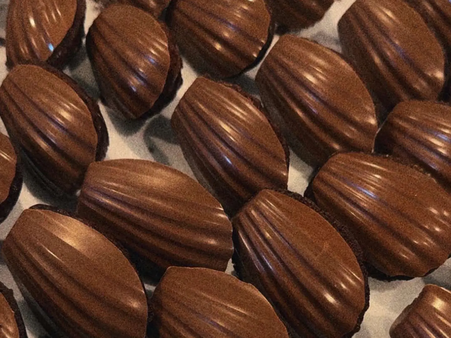 Chocolate Madeleine