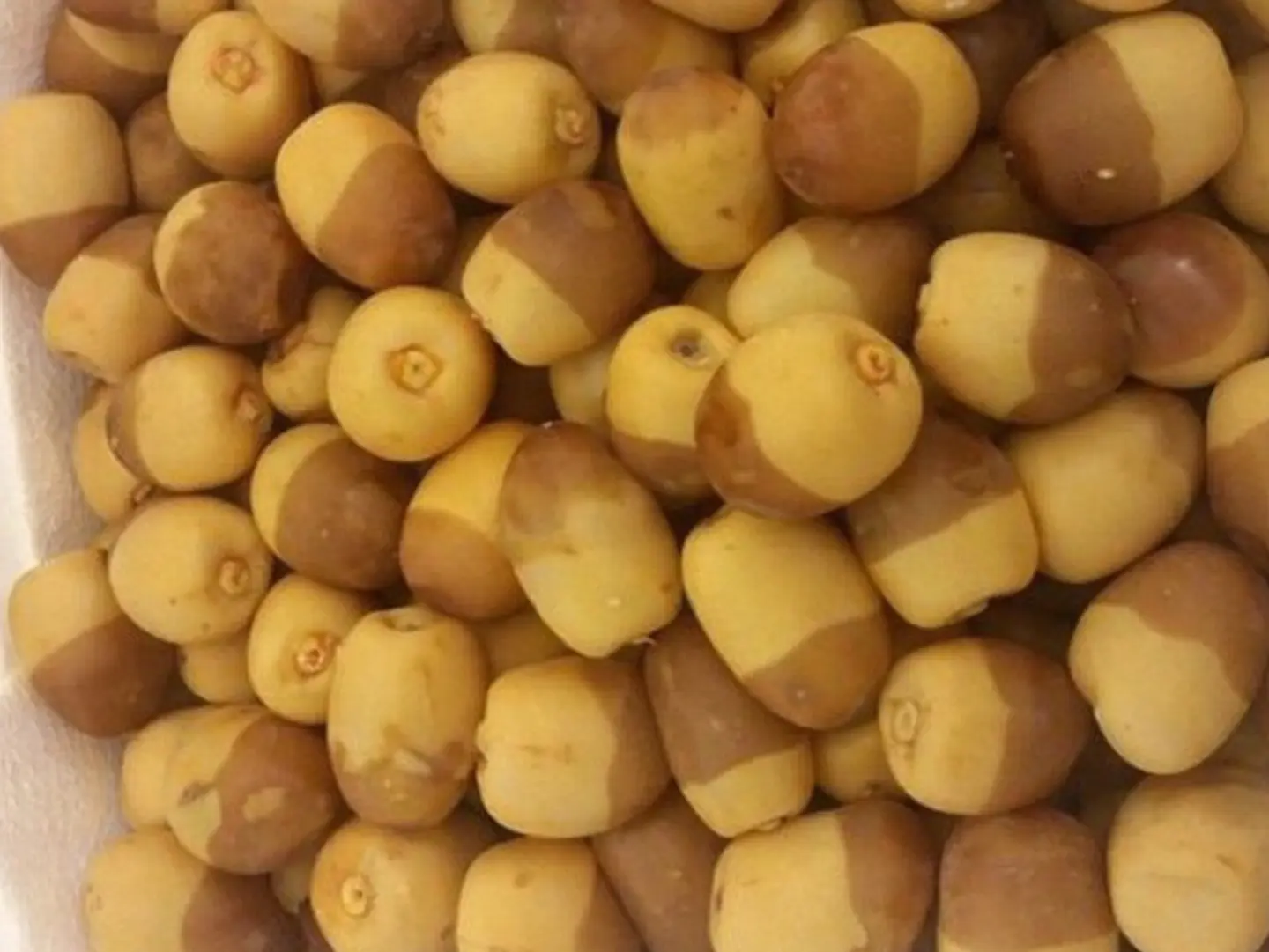 روثانة