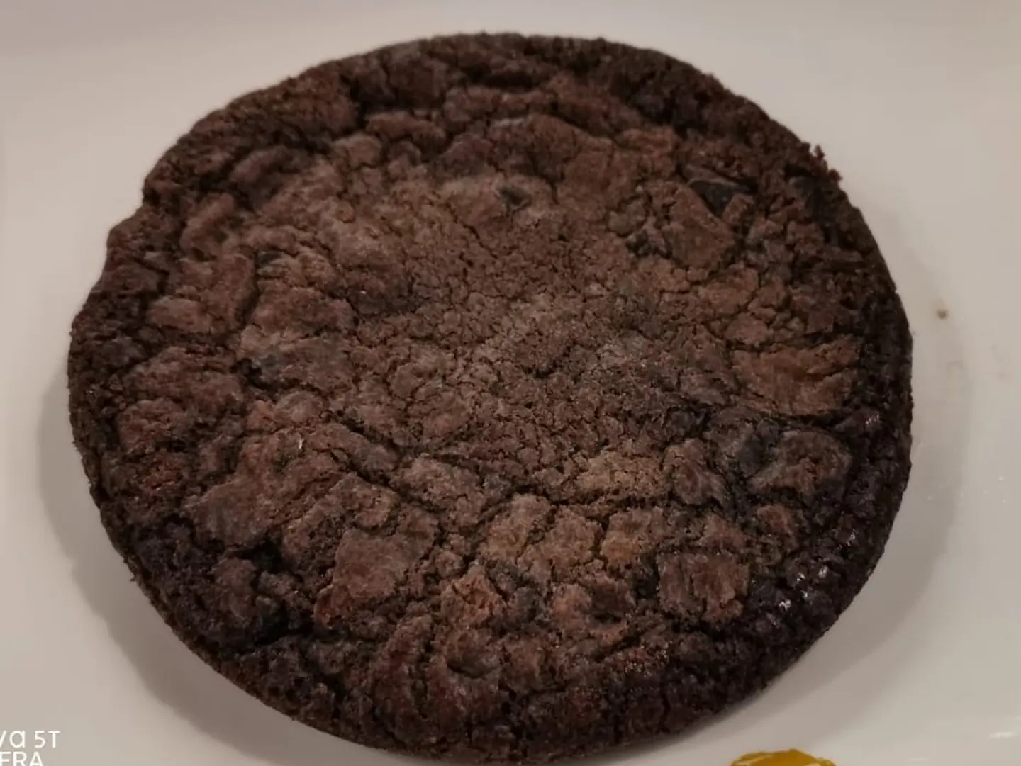 Chocolate Cookies