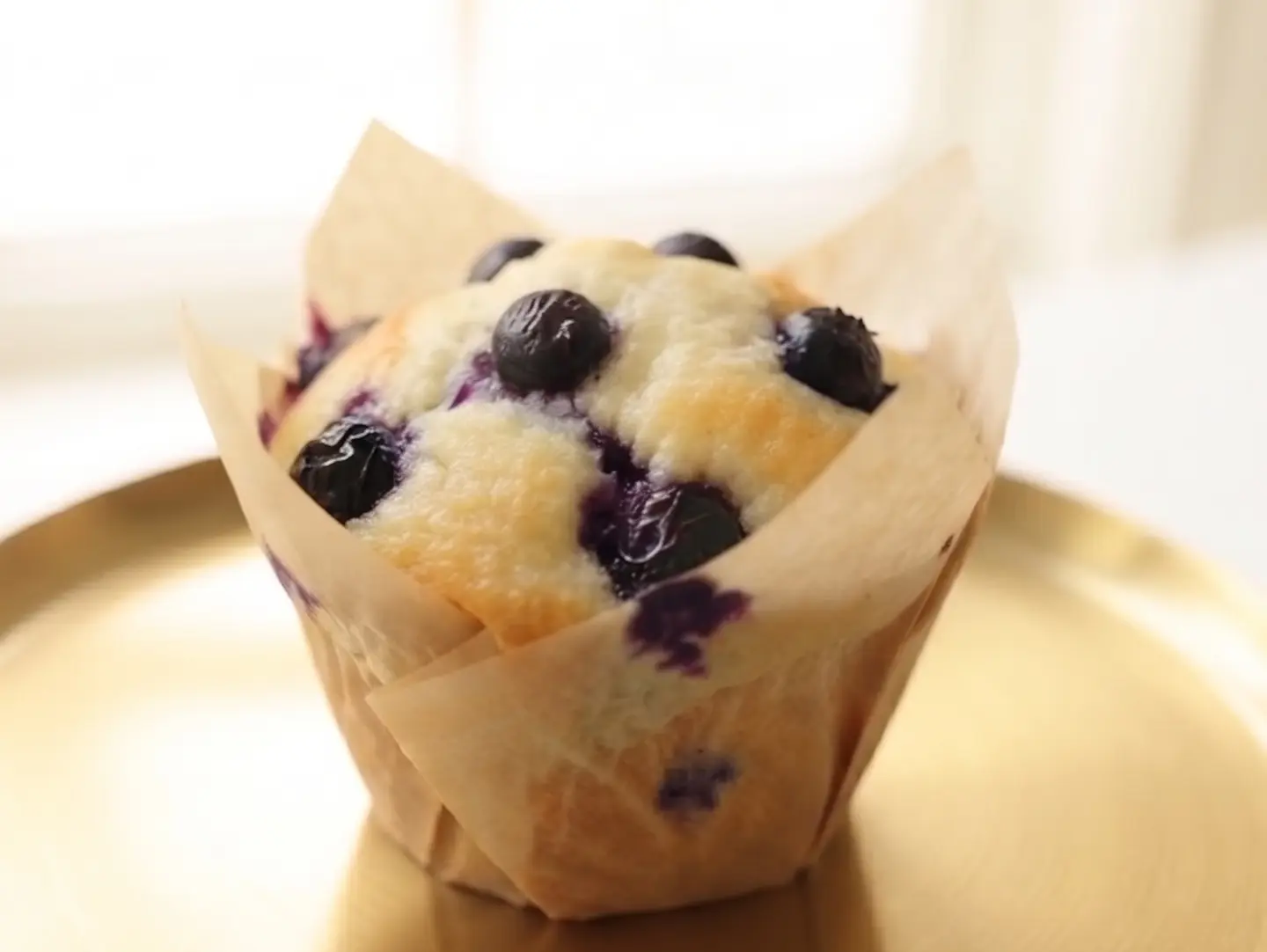 Blueberry Muffin