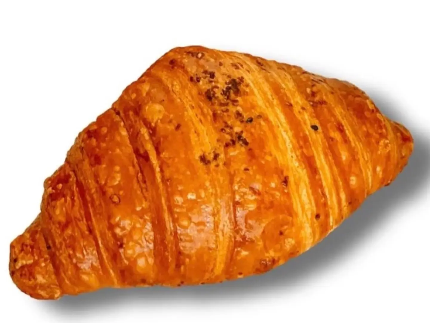 Croissant Cheese
