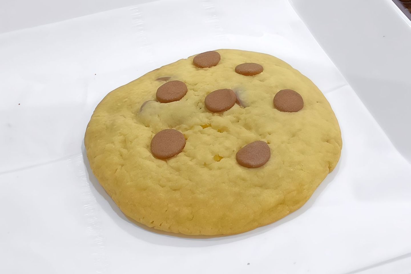 Vanilla Cookies