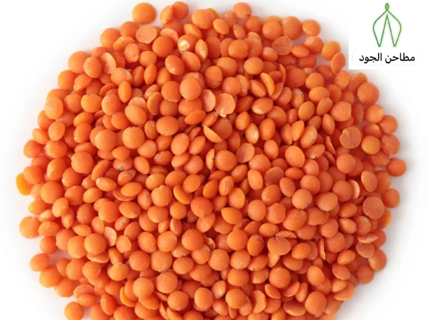 عدس احمر - 250 جرام