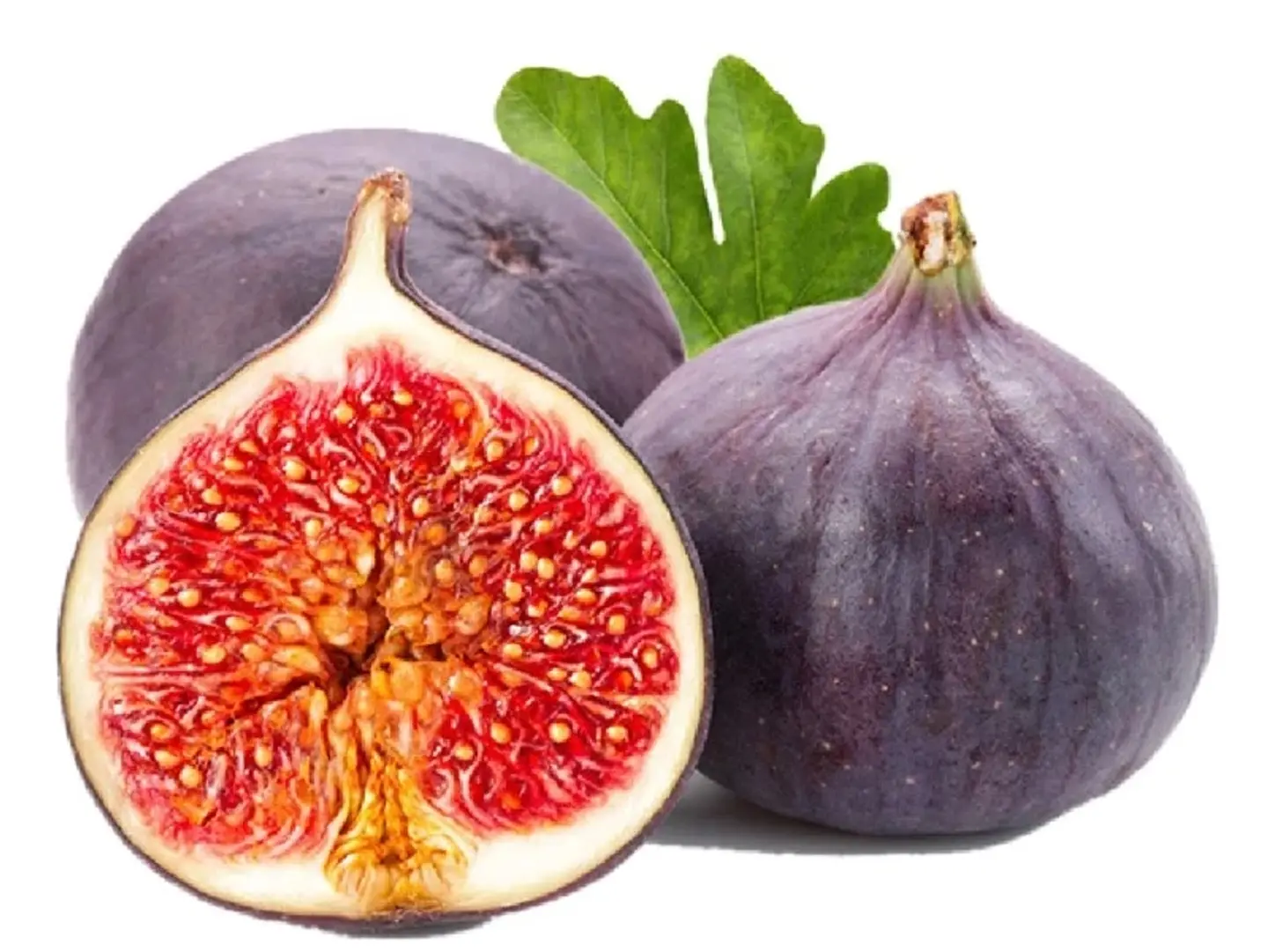 Fig