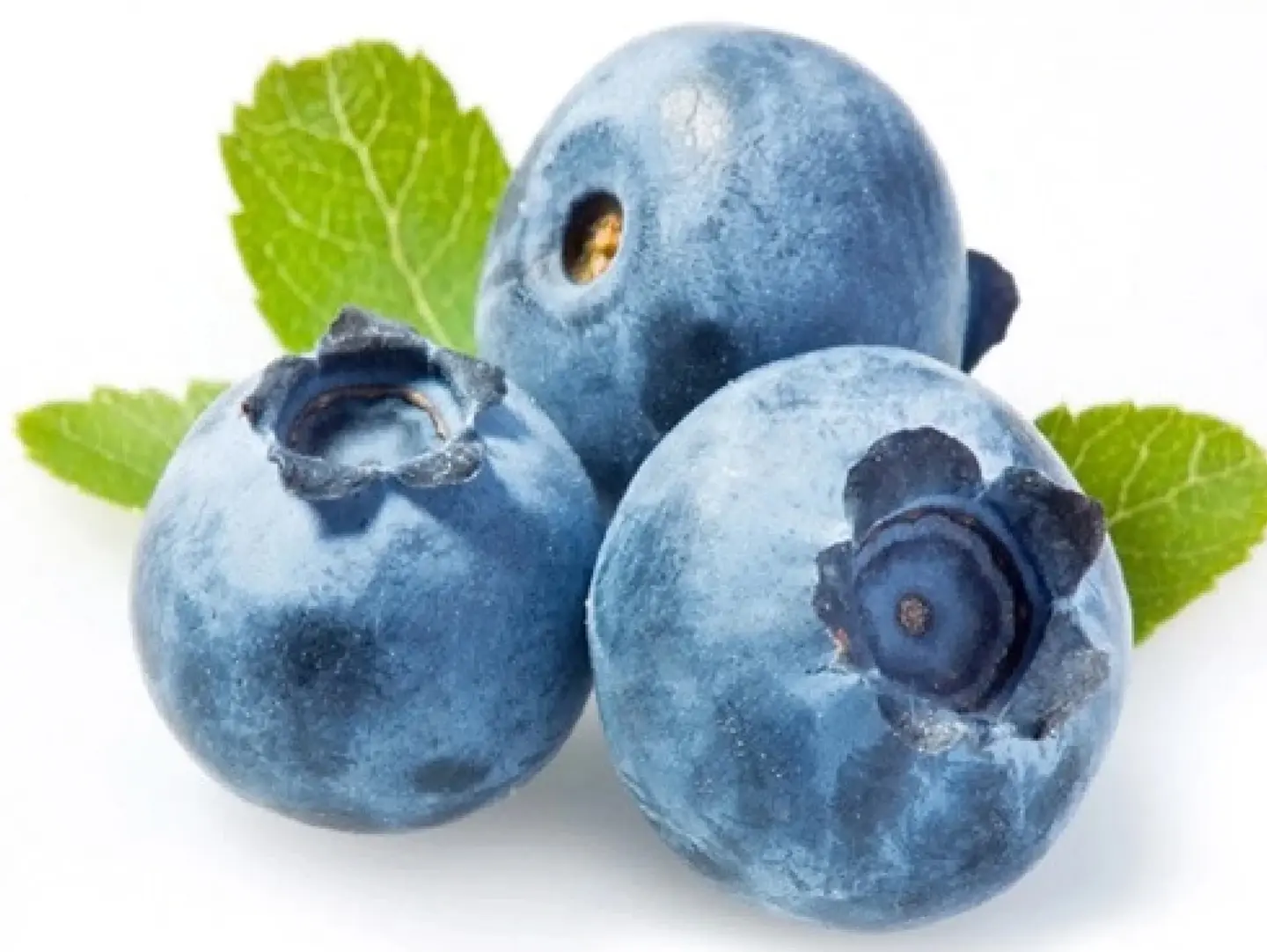 Blue Berry