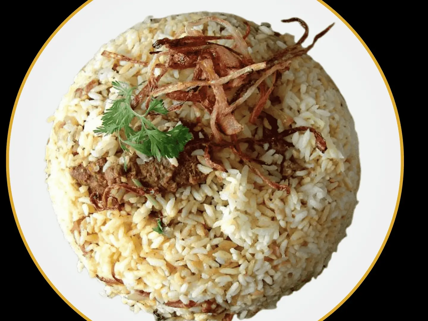 برياني دجاج