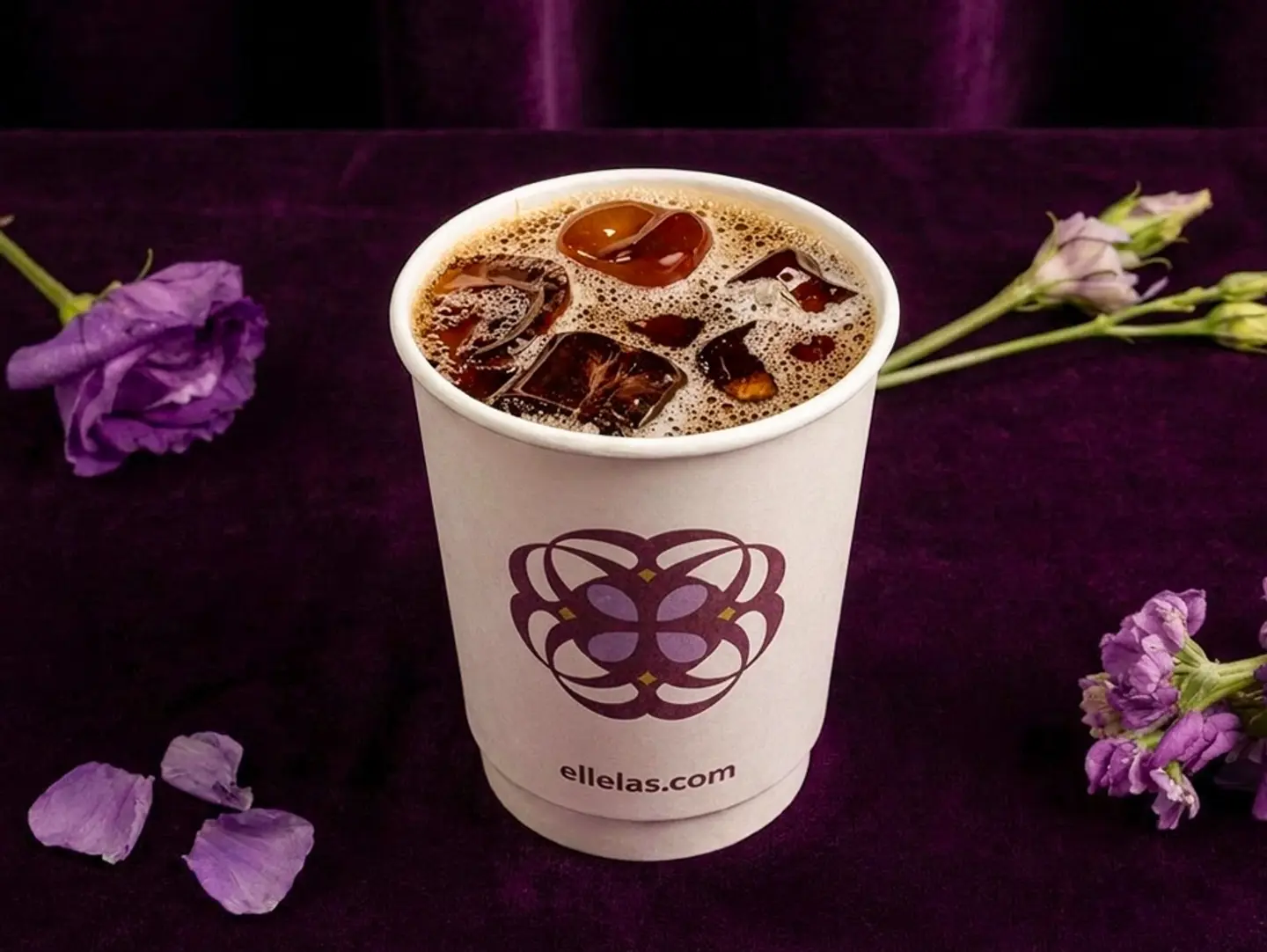 Brazilian Hazelnut And Vanilla V60 Cold