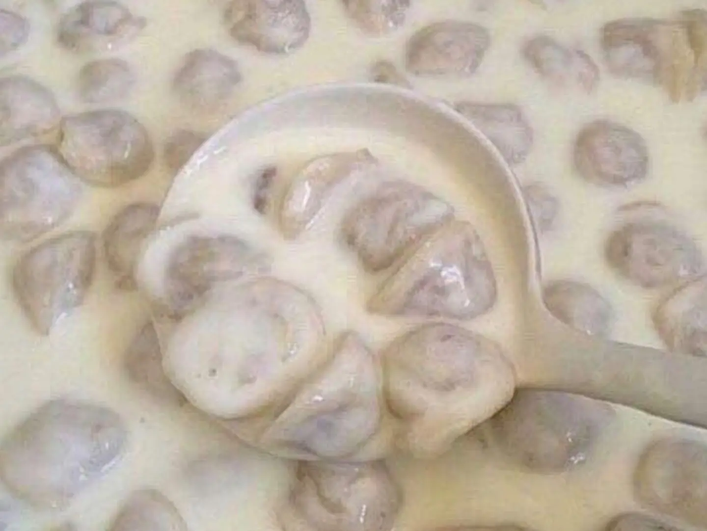 اذان الشايب ( شيش برك )
