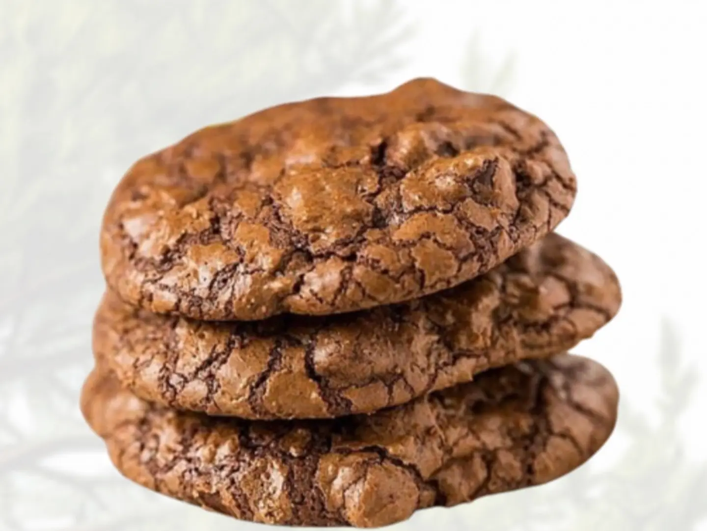Belgian Chocolate Cookies
