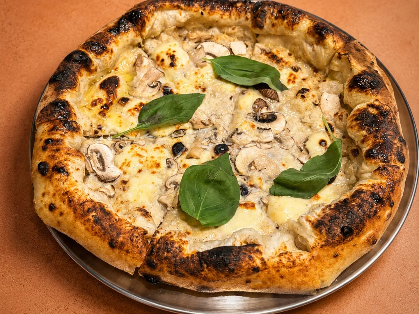 Truffle - Medium