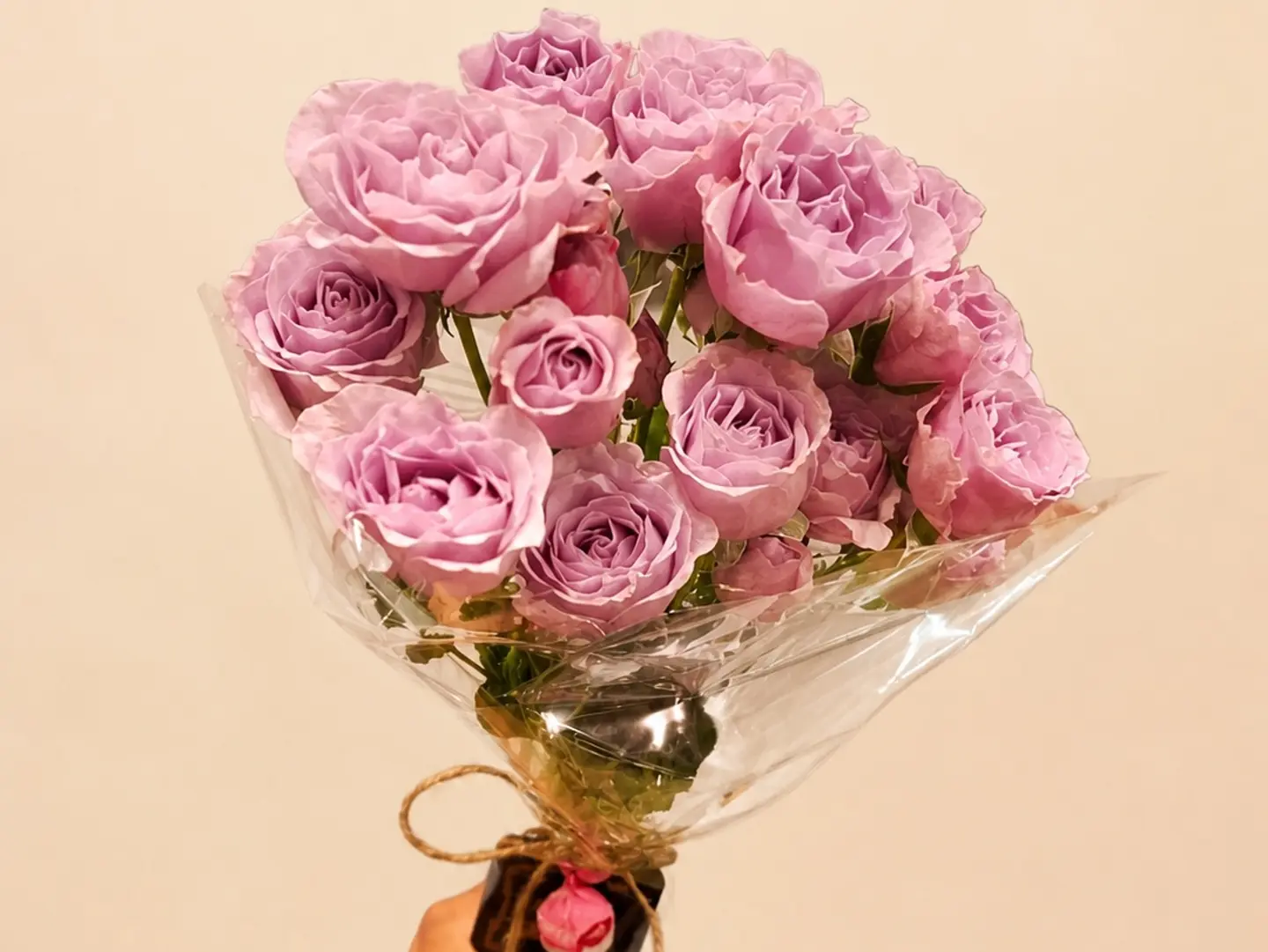 Baloch Rose
