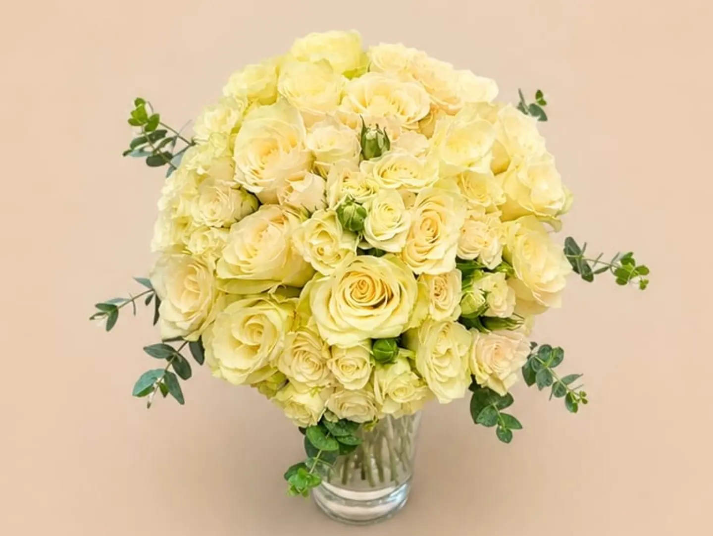 Yellow Sofia