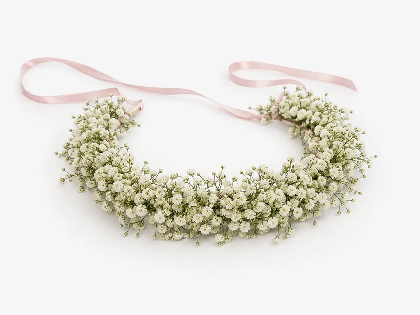 Children's Wreath, Gypsophila Rose