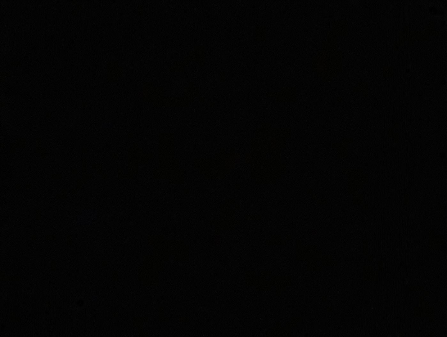 بيتزا البيستو بالدجاج