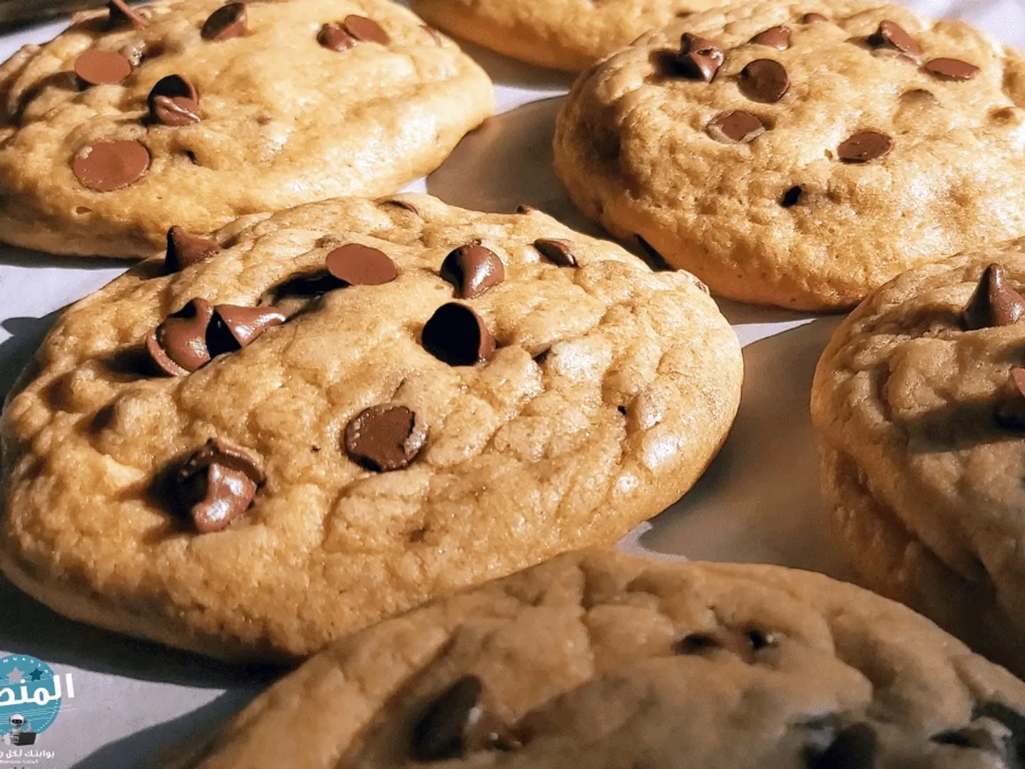 Vanilla Cookies