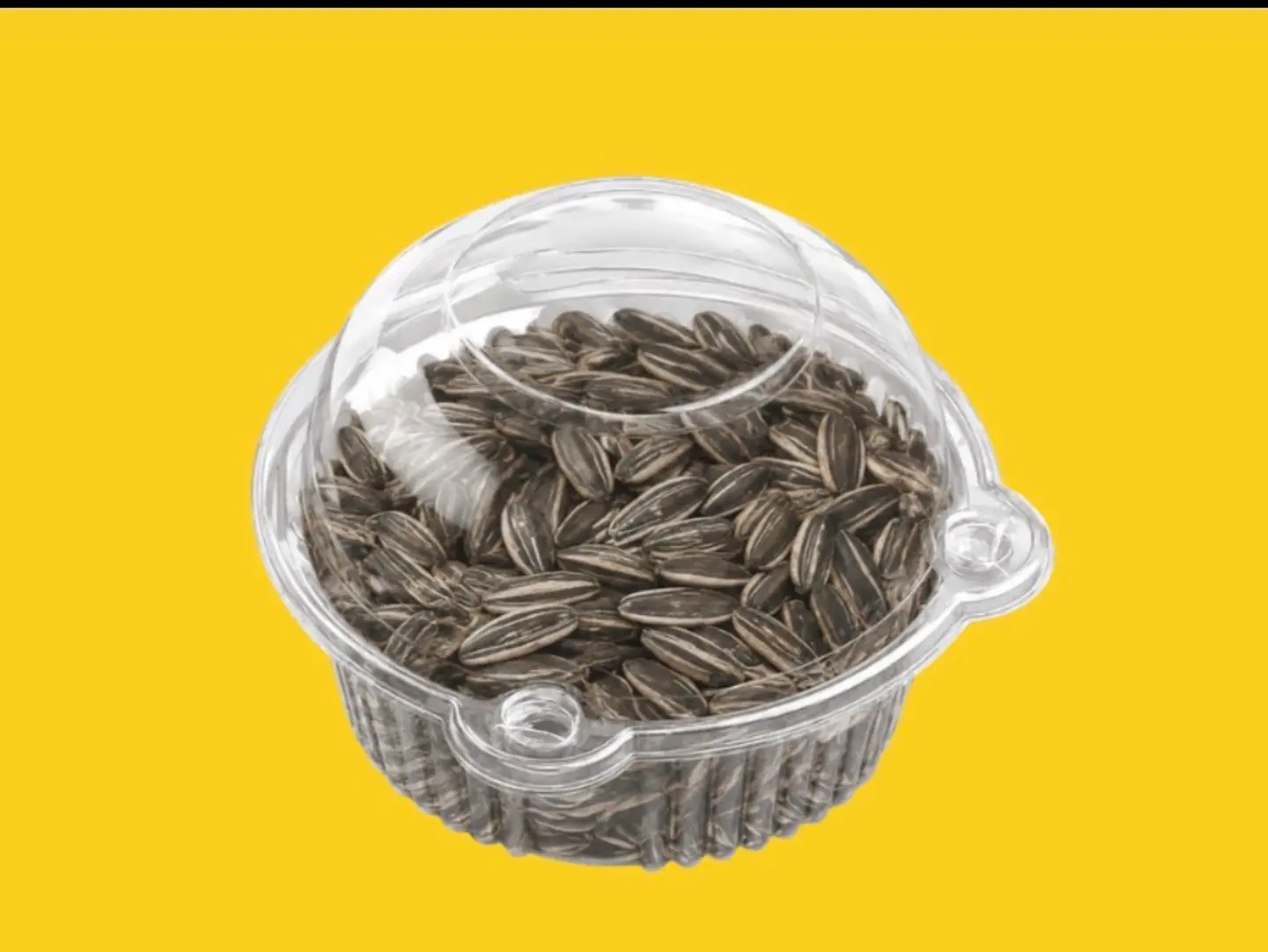 حب دوار الشمس