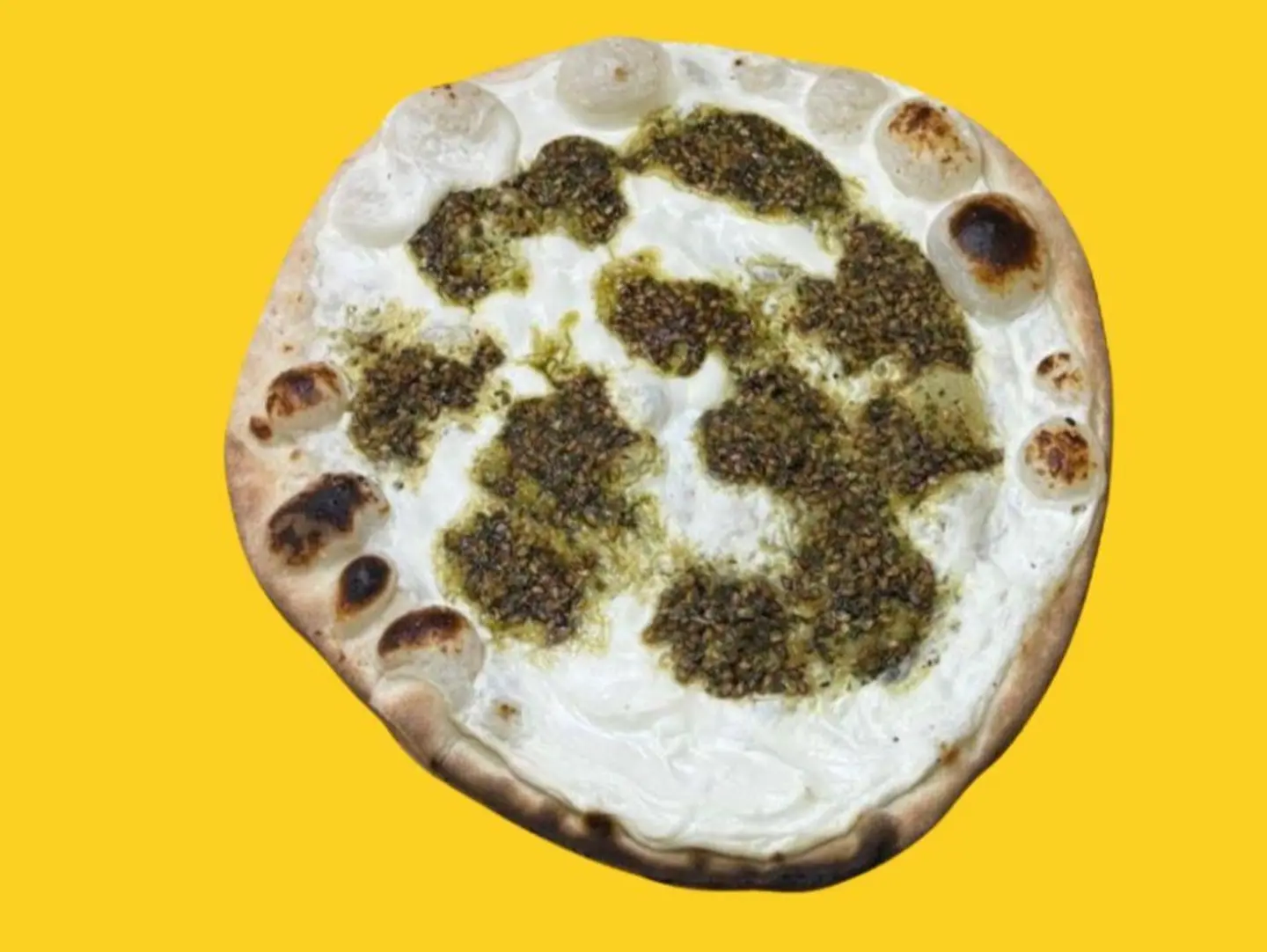 منقوشة لبنة بالزعتر