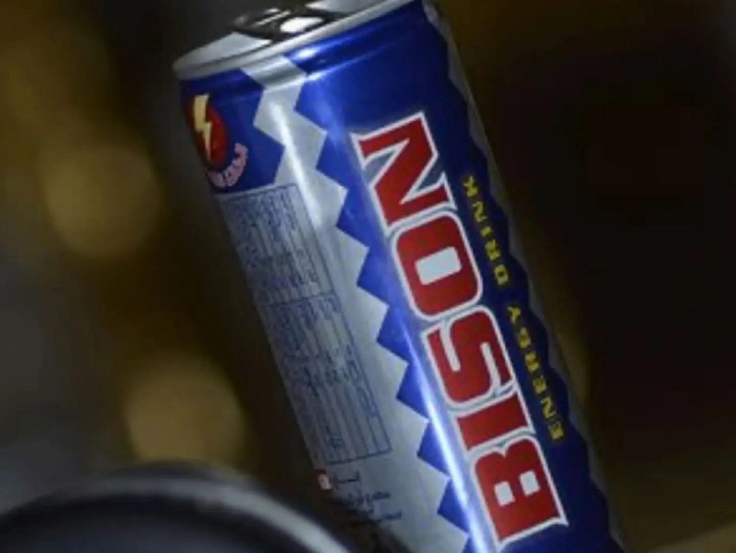 Bison