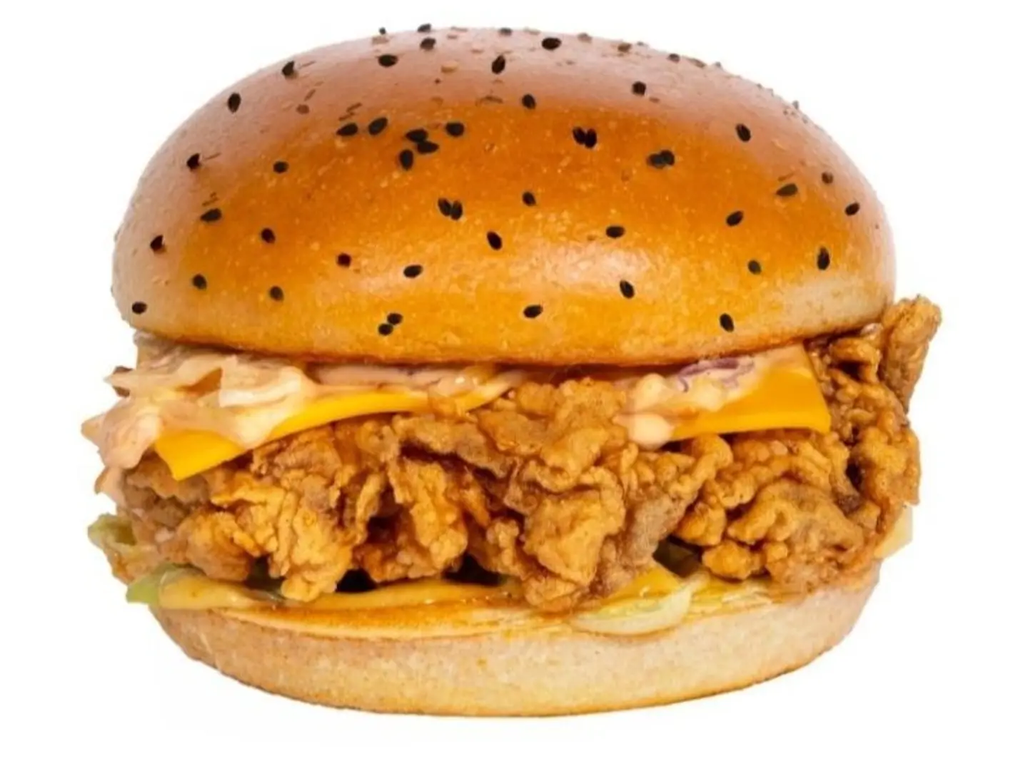 Spicy Crispy Chicken Burger
