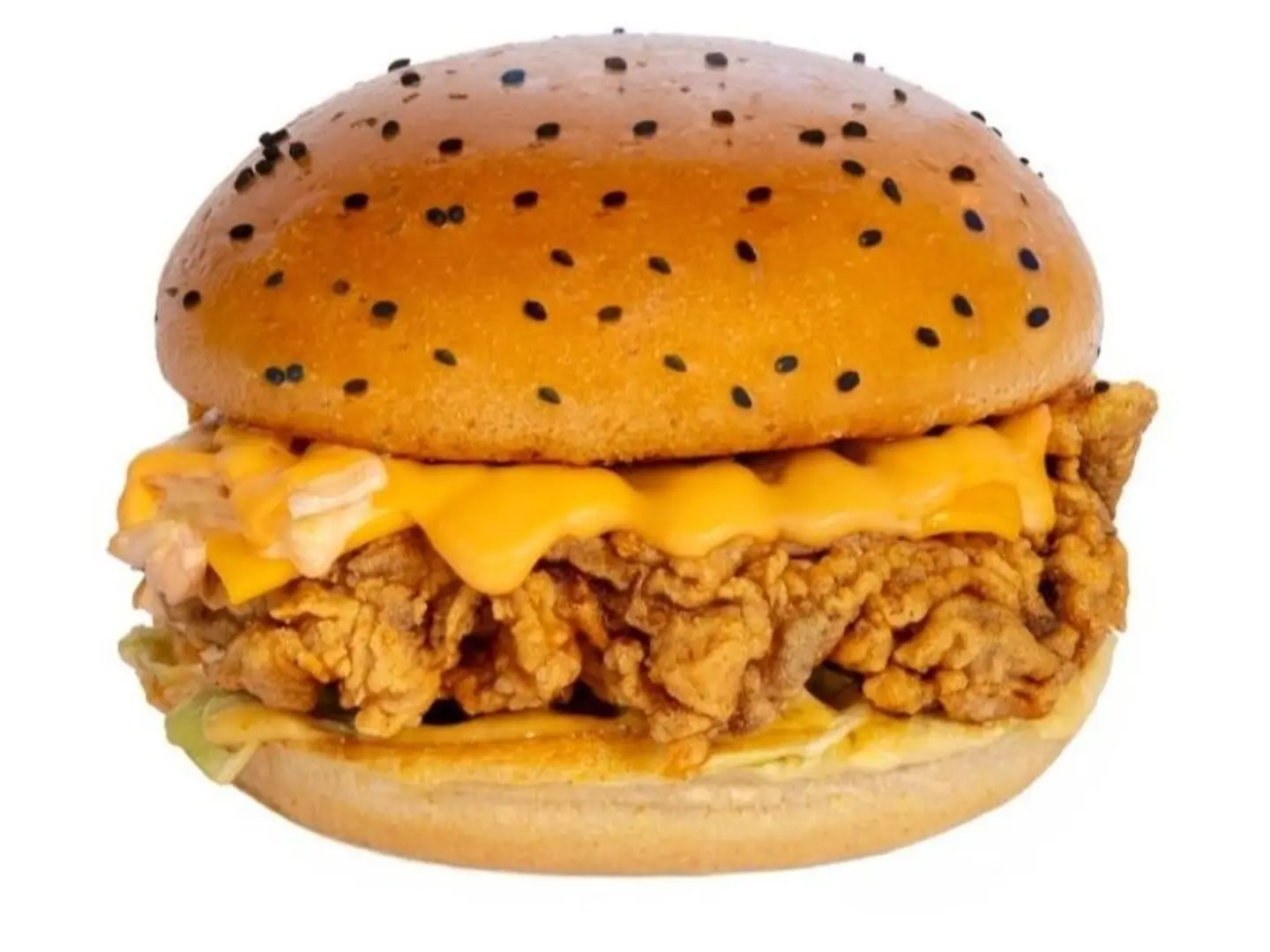 Crispy Chicken Burger