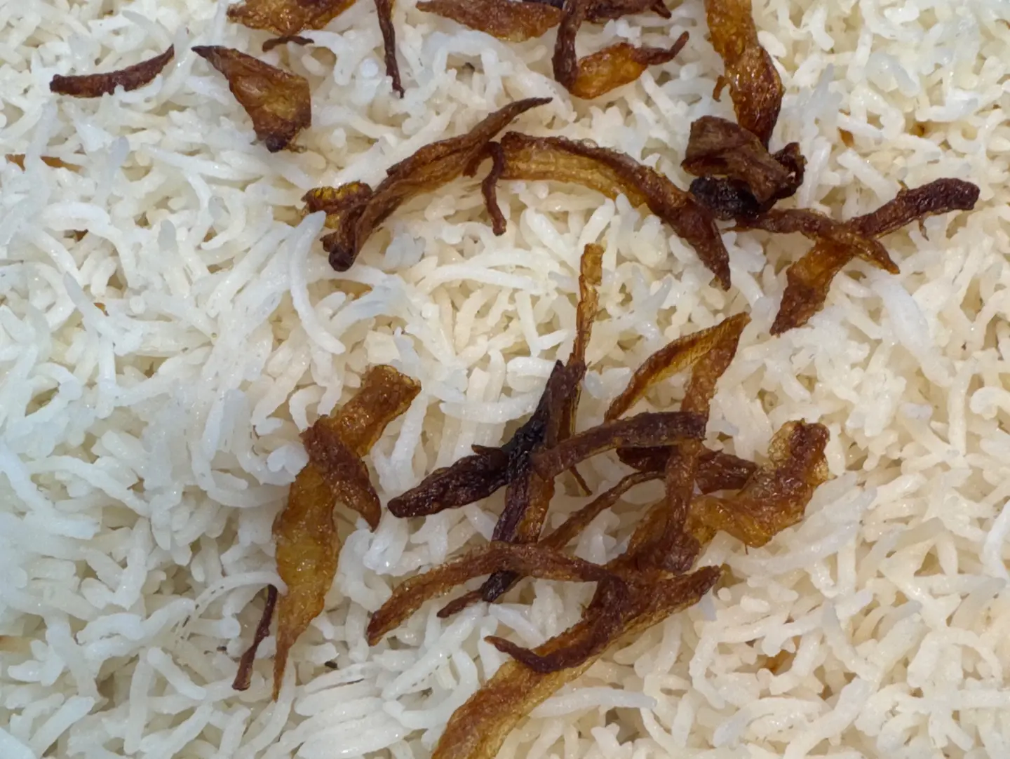 رز بشاور