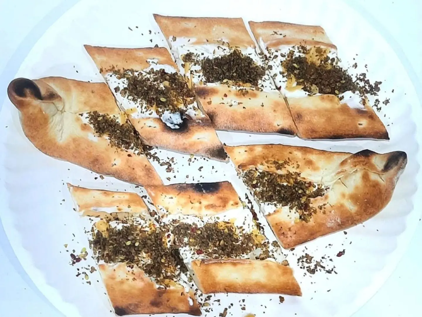 لبنى زاتر