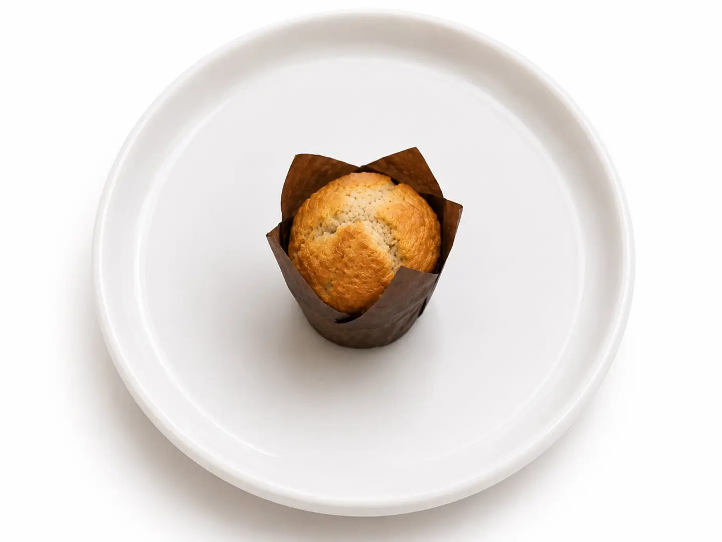 Blueberry Mini Muffin