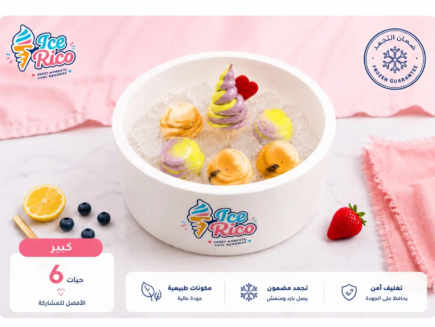 Large Ice Cream Box