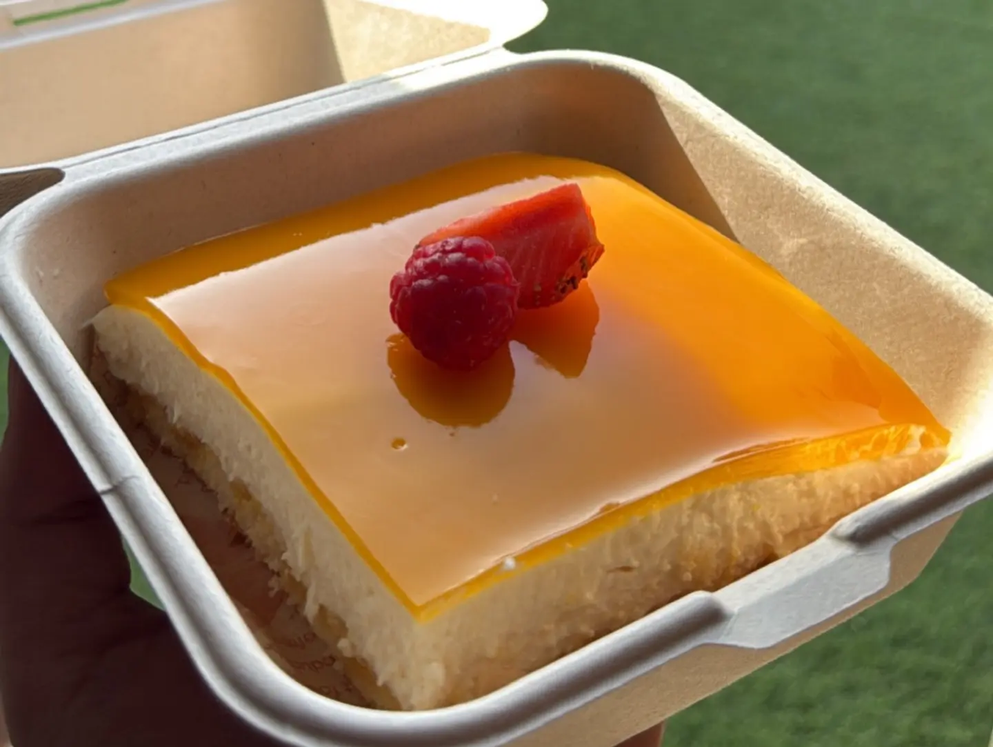 Mango Dessert Piece