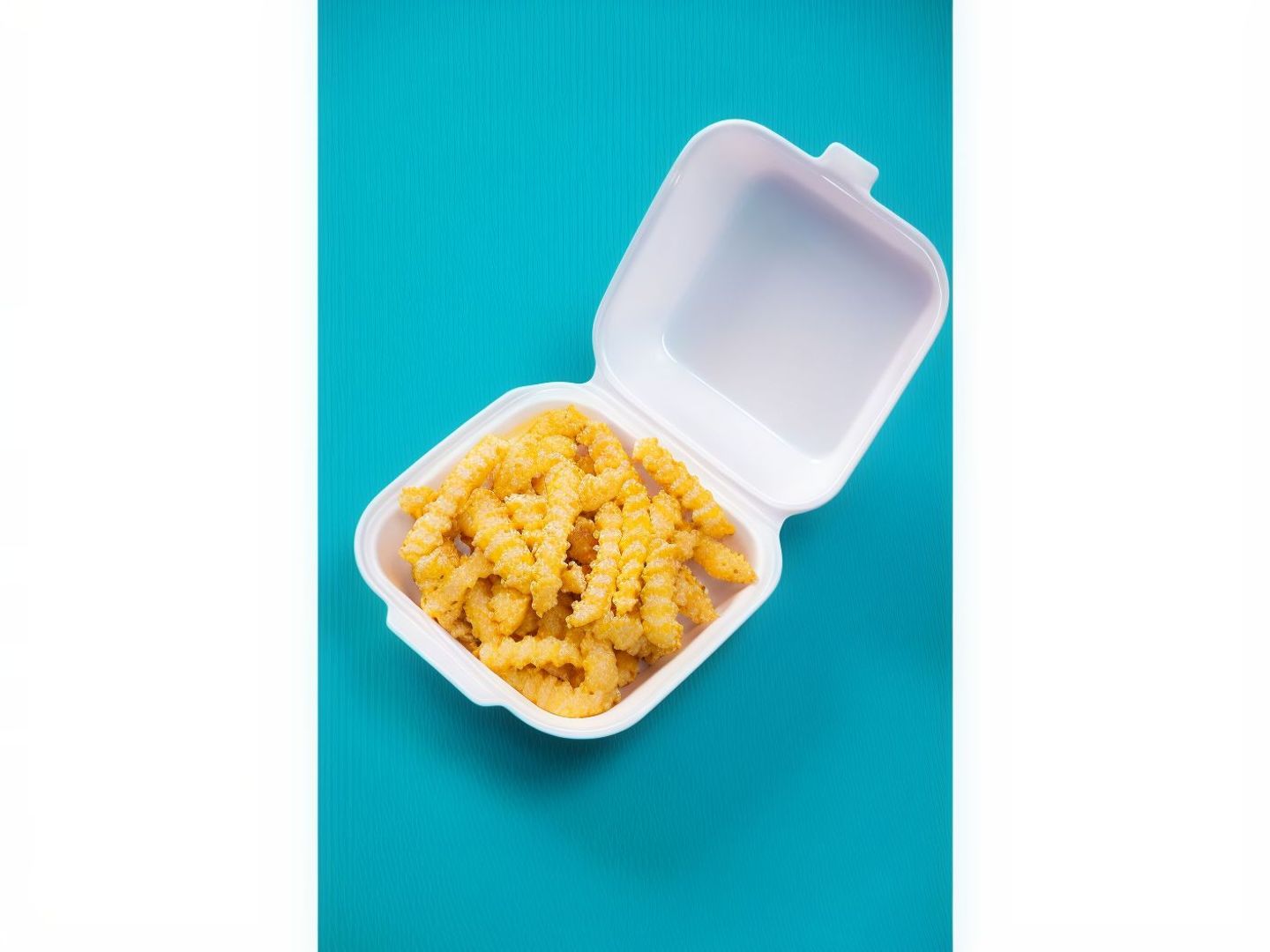 Ziggy Fries
