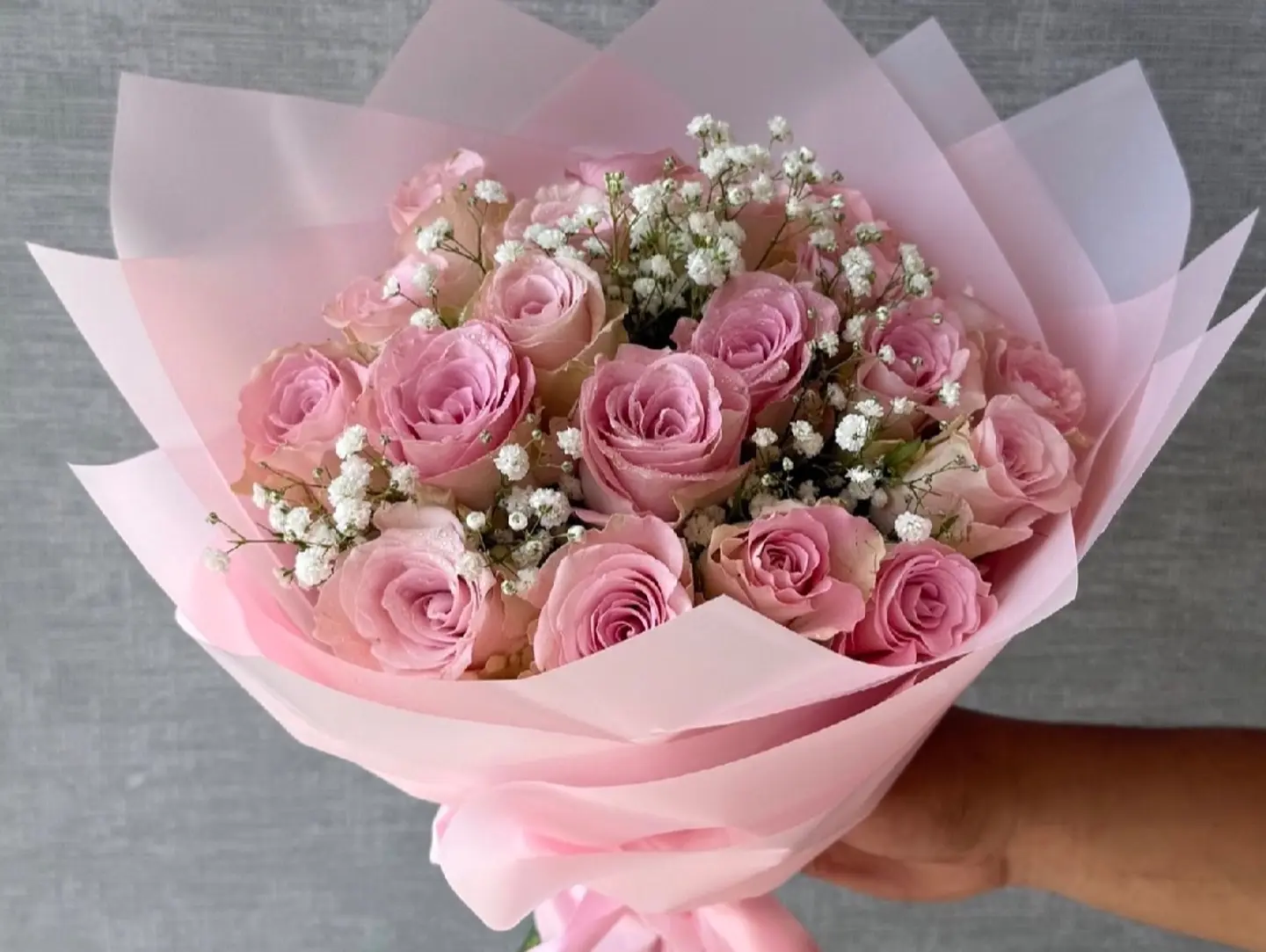 Rose Bella